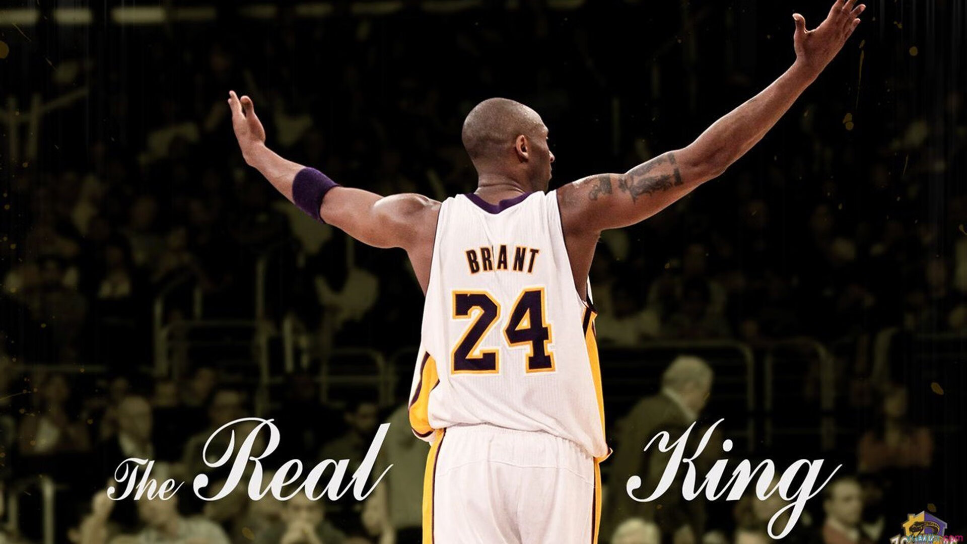 开云体育APP下载-武切维奇三分如雨浇灭华南虎 浙江队关键战突围广东锁定季后赛席位